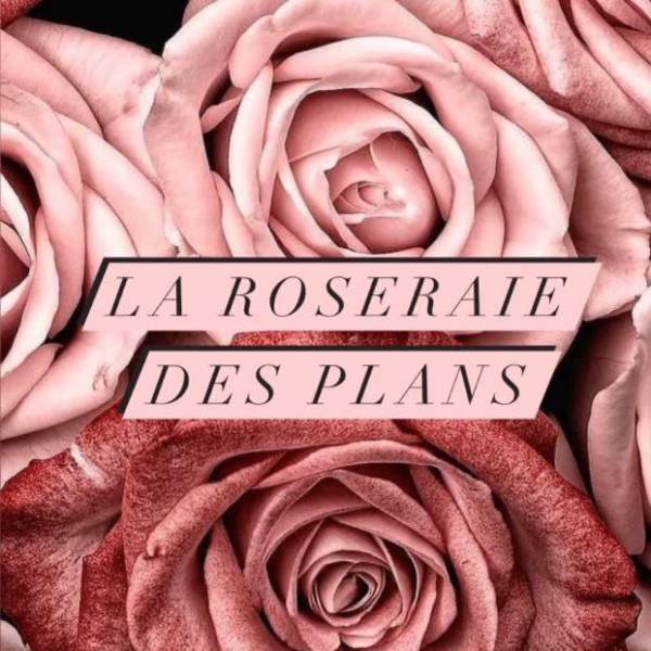la roseraie des plans