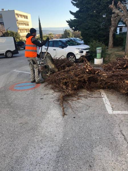 Mise en décharge des racines d'arbres sur chantier d'enrobé noir par Réseau TP à La Ciotat