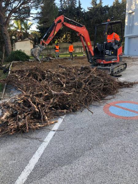 Enlèvement des racines d'arbres pour travaux d'enrobé sur parking d'une résidence collective à La ciotat
