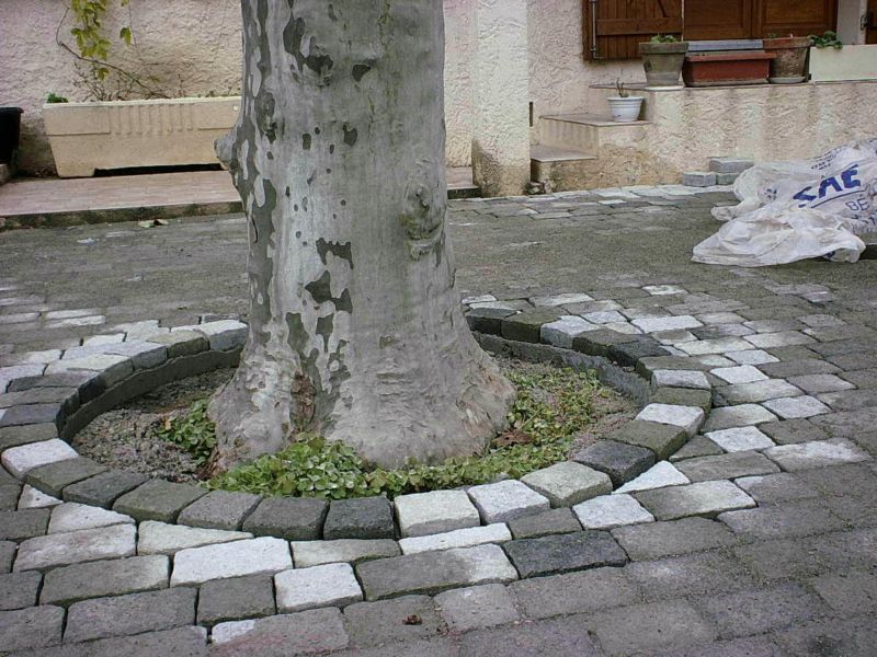 Réalisation des bordures d'arbres en pavés
